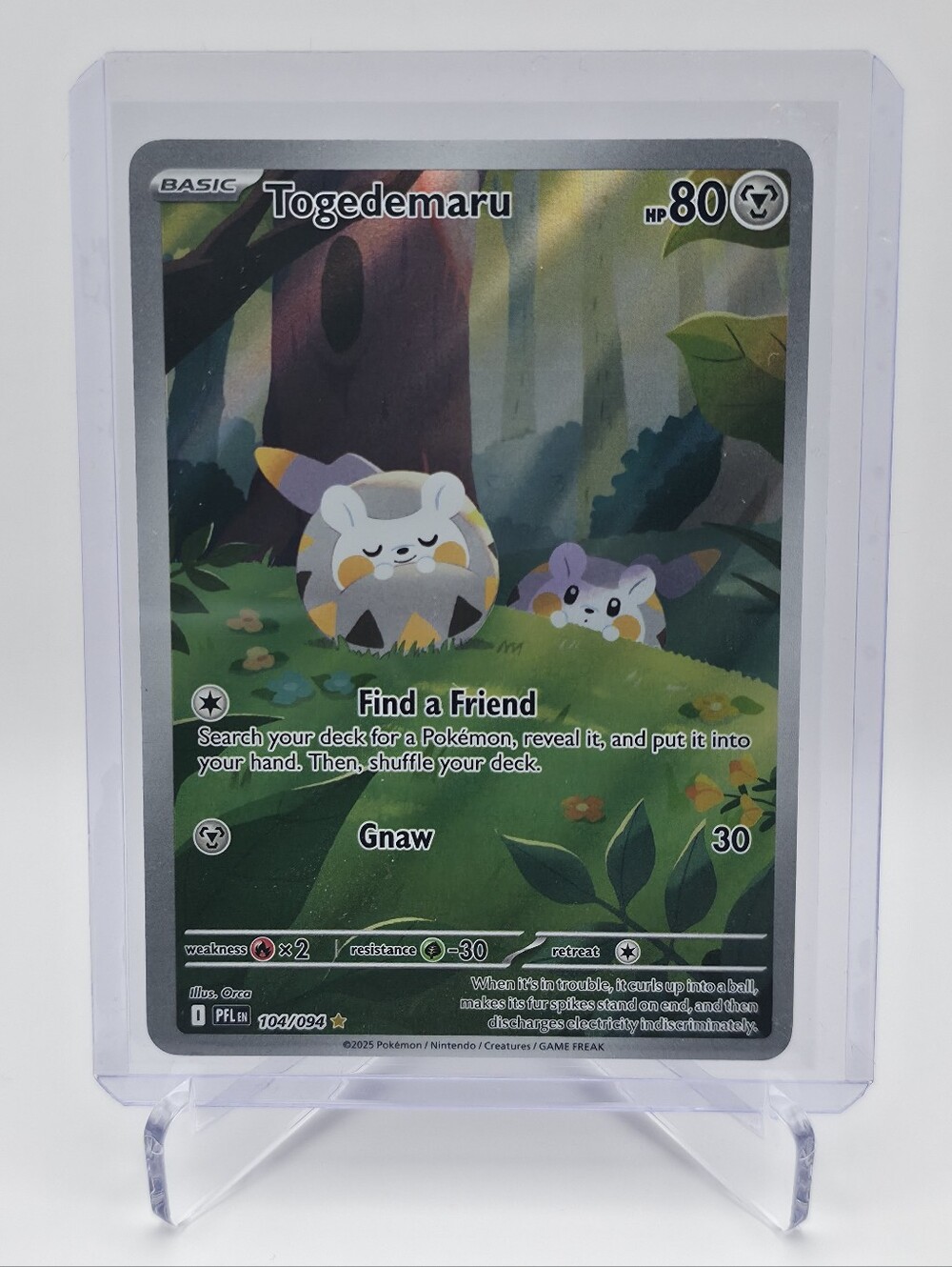 Pokémon TCG - Togedemaru - Phantasmal Flames - Illustration Rare - 104/094